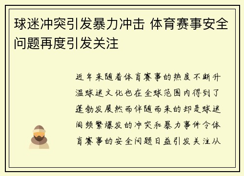 球迷冲突引发暴力冲击 体育赛事安全问题再度引发关注